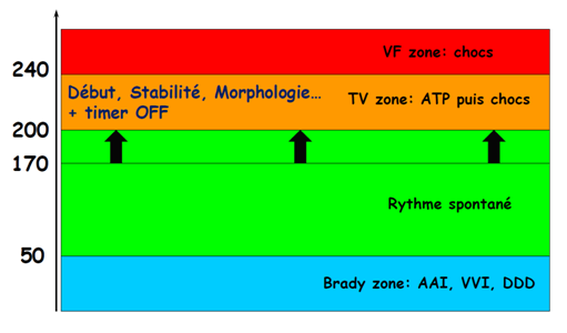 Activitephysiqueetpm 3