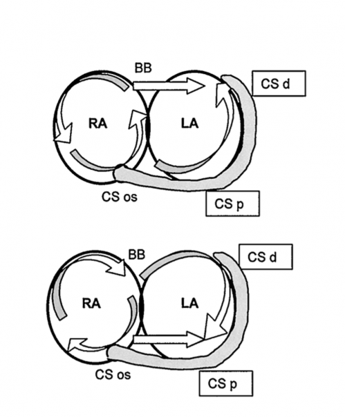 Fig 2 flutter circuit