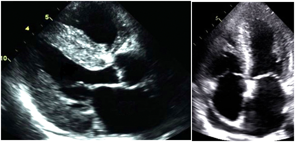 Fig 5 cmh