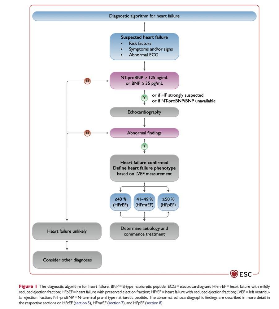 Figure1 arbre diagnostic de l insuffisance cardiaque 1