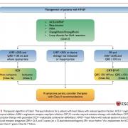 Figure2 management of patients with hfref