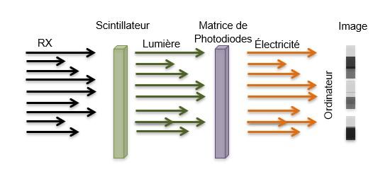 Imagerie 2