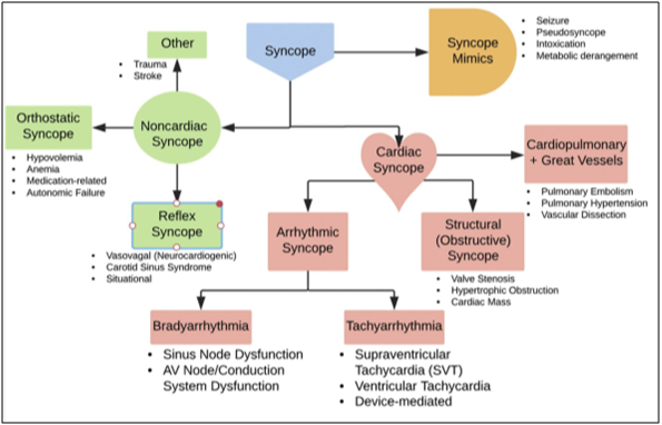 Tableau 0 syncope