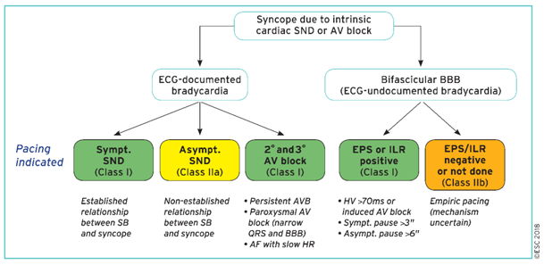 Tableau 3 syncope